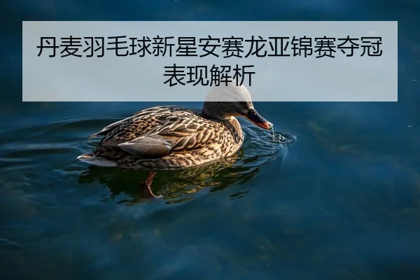 丹麦羽毛球新星安赛龙亚锦赛夺冠表现解析